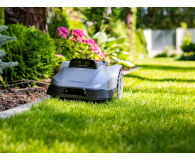Terramow Robot koszący Mini 500 - 1609877 - zdjęcie 10